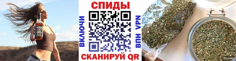 Бутират 1.4BDO  Купить закладки  Новодвинск 