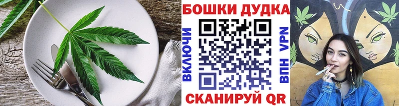 Canna-Cookies марихуана Новодвинск