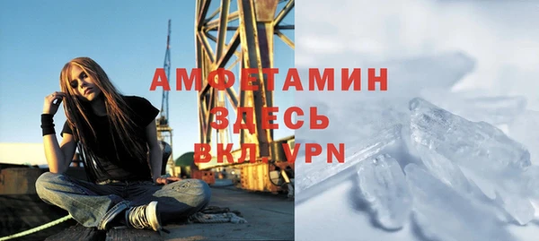 стафф Вяземский