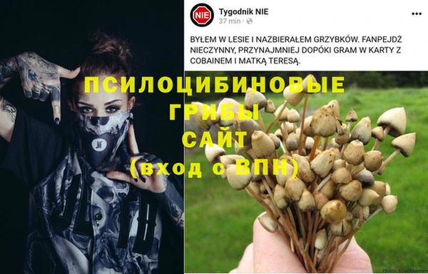 прущая мука Вязьма