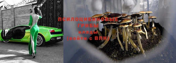 ешки Верея