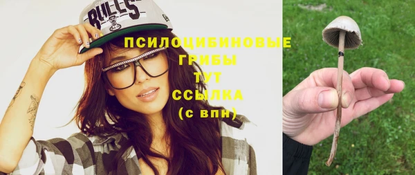 прущая мука Вязьма
